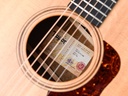 Taylor AD17e Natural 2021-11.jpg