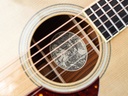 Collings Custom OM2H Alaskan Blue Sitka Cocobolo 2024-11.jpg