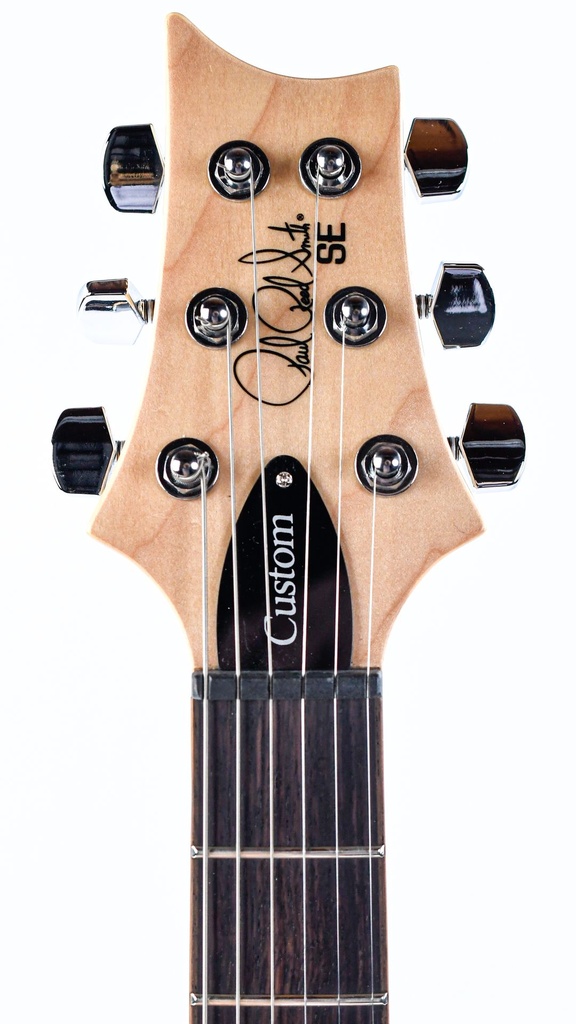 PRS SE Custom Turquoise-4.jpg