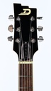 [#234508] Duesenberg Starplayer TV Black 2023-4.jpg