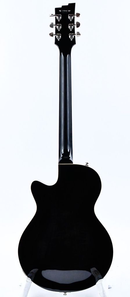 [#234508] Duesenberg Starplayer TV Black 2023-7.jpg