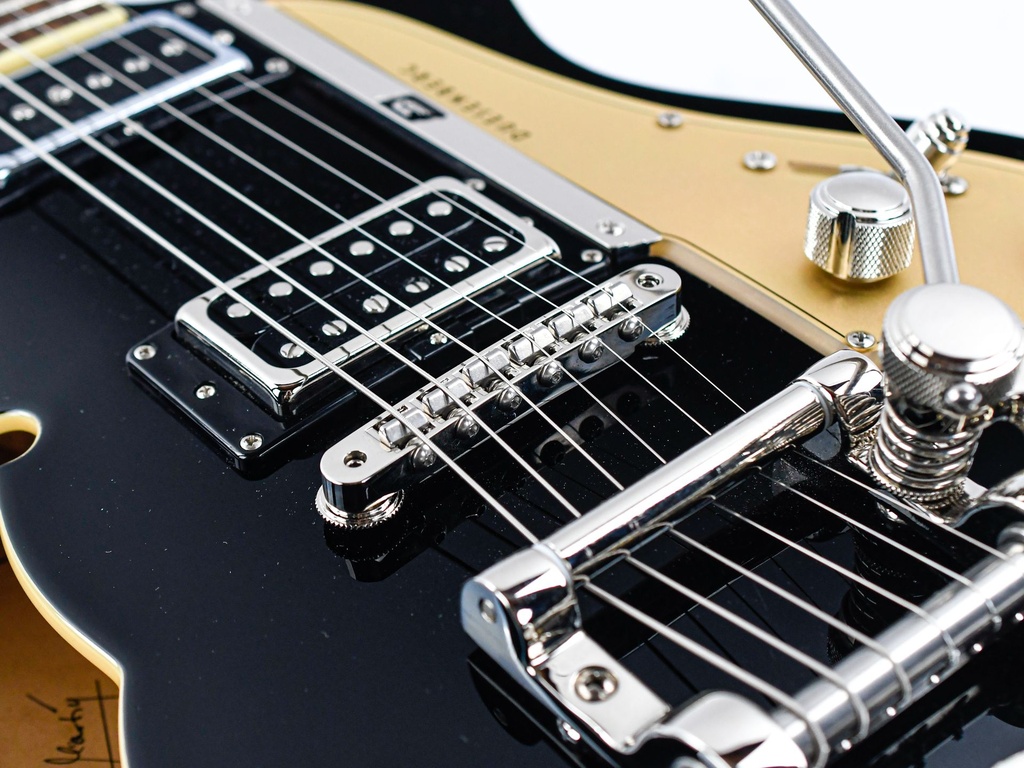 [#234508] Duesenberg Starplayer TV Black 2023-10.jpg