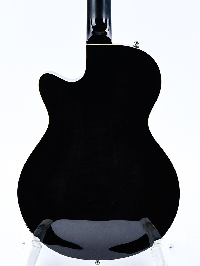 [#234508] Duesenberg Starplayer TV Black 2023-6.jpg