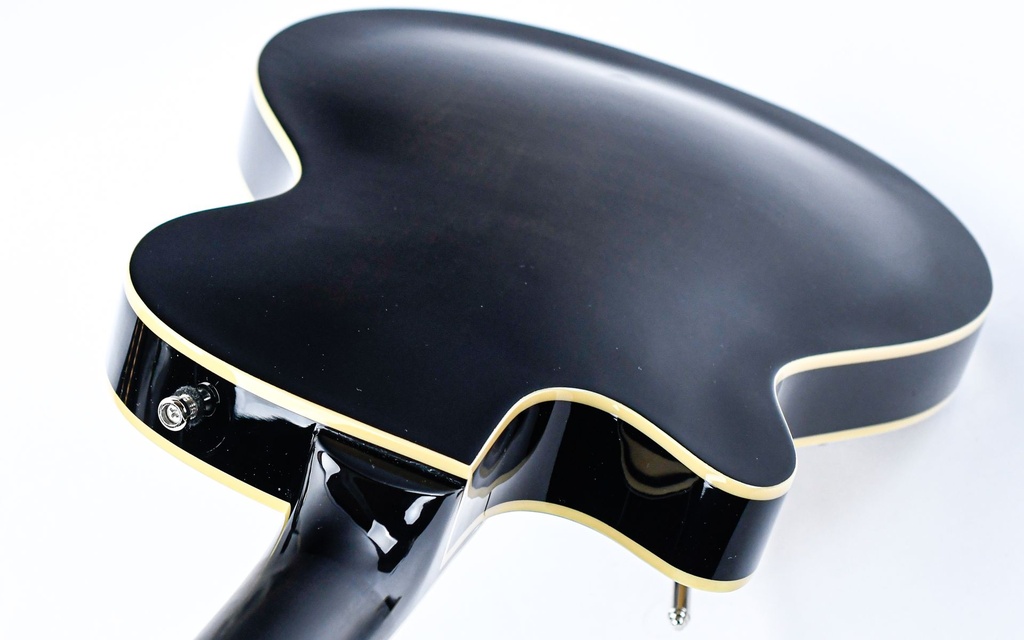 [#234508] Duesenberg Starplayer TV Black 2023-9.jpg