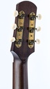 [IS38872] Iris OG Tobacco Sunburst Relic-5.jpg