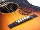 [IS38872] Iris OG Tobacco Sunburst Relic-10.jpg