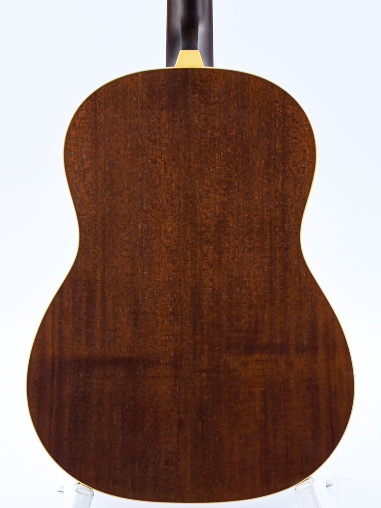[IS38872] Iris OG Tobacco Sunburst Relic-6.jpg
