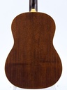 [IS38872] Iris OG Tobacco Sunburst Relic-6.jpg