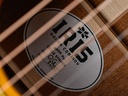 [IS38872] Iris OG Tobacco Sunburst Relic-12.jpg