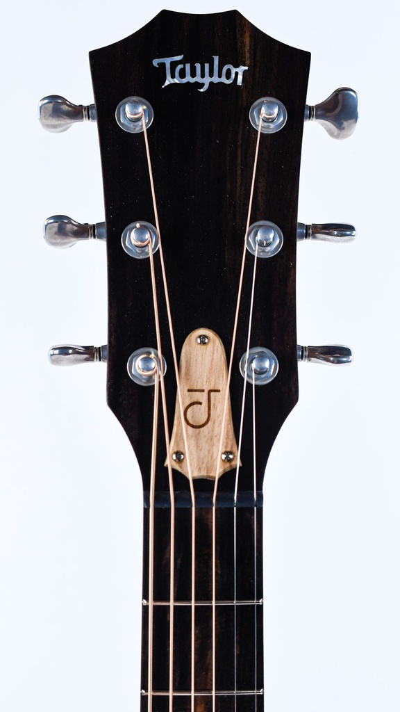 Taylor Jacob Collier Signature Model 6 String-4.jpg