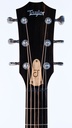 Taylor Jacob Collier Signature Model 6 String-4.jpg