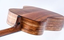 Taylor Jacob Collier Signature Model 6 String-9.jpg