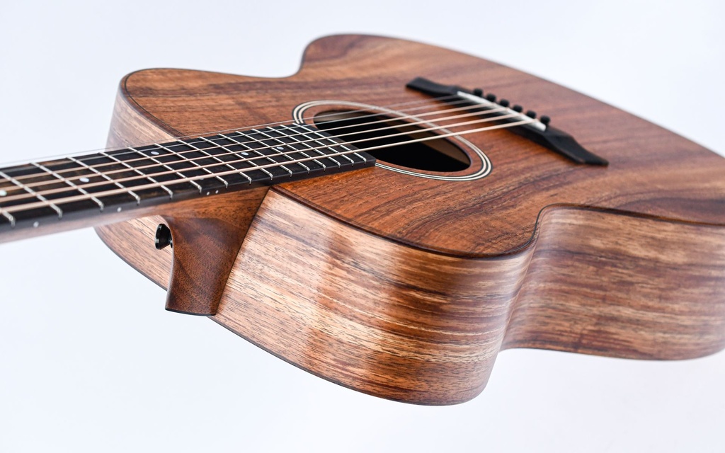 Taylor Jacob Collier Signature Model 6 String-8.jpg