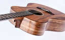 Taylor Jacob Collier Signature Model 6 String-8.jpg