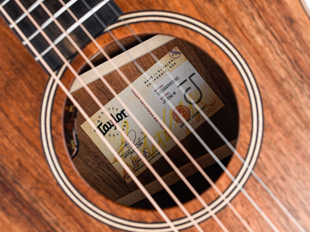 Taylor Jacob Collier Signature Model 6 String-11.jpg