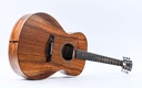 Taylor Jacob Collier Signature Model 6 String-12.jpg