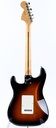 Fender Stratocaster American Performer 2018-7.jpg