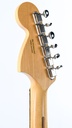 Fender Stratocaster American Performer 2018-5.jpg