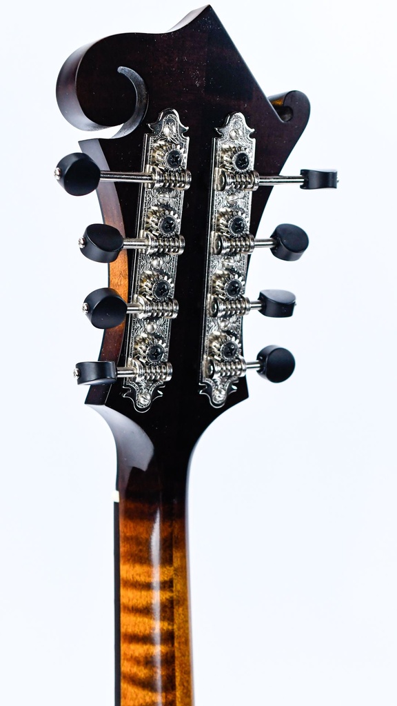 [S2401322] Northfield F5s Sunburst 2024-5.jpg