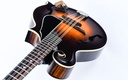 [S2401322] Northfield F5s Sunburst 2024-8.jpg