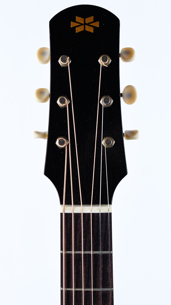 [IS26555] Iris DF Tobacco Sunburst Relic-4.jpg