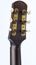 [IS26555] Iris DF Tobacco Sunburst Relic-5.jpg