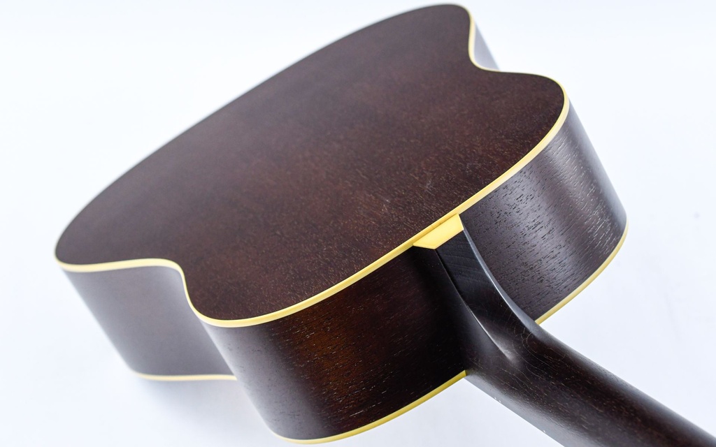 [IS26555] Iris DF Tobacco Sunburst Relic-9.jpg