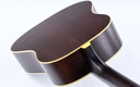 [IS26555] Iris DF Tobacco Sunburst Relic-9.jpg