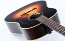 [IS26555] Iris DF Tobacco Sunburst Relic-8.jpg