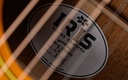 [IS26555] Iris DF Tobacco Sunburst Relic-12.jpg