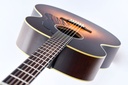 Iris ND200 Flamed Maple Relic-8.jpg