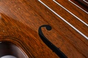 Gibson EB1 Bass 1954-13.jpg