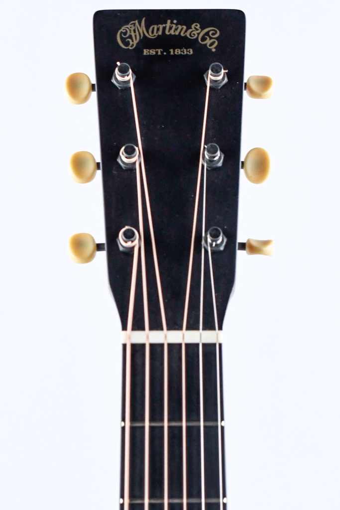 Martin CEO7 2021-4.jpg