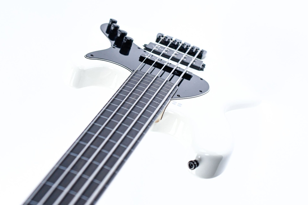 Sandberg California II TM Virgin White Fretless 5-String 2024-8.jpg