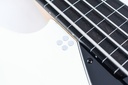 Sandberg California II TM Virgin White Fretless 5-String 2024-13.jpg