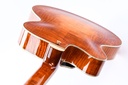 Eastman AR580CE Honeyburst 2023-9.jpg