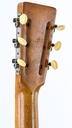 National Triolian 1930s-5.jpg