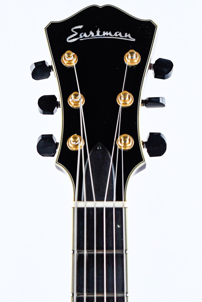Eastman AR805CE 2020-4.jpg