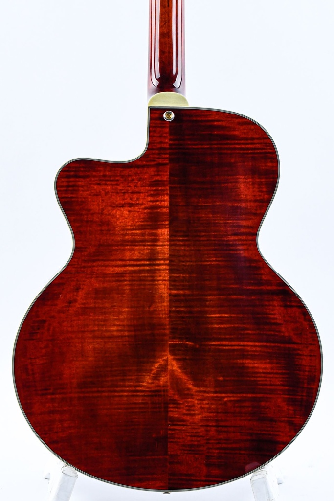 Eastman AR805CE 2020-6.jpg