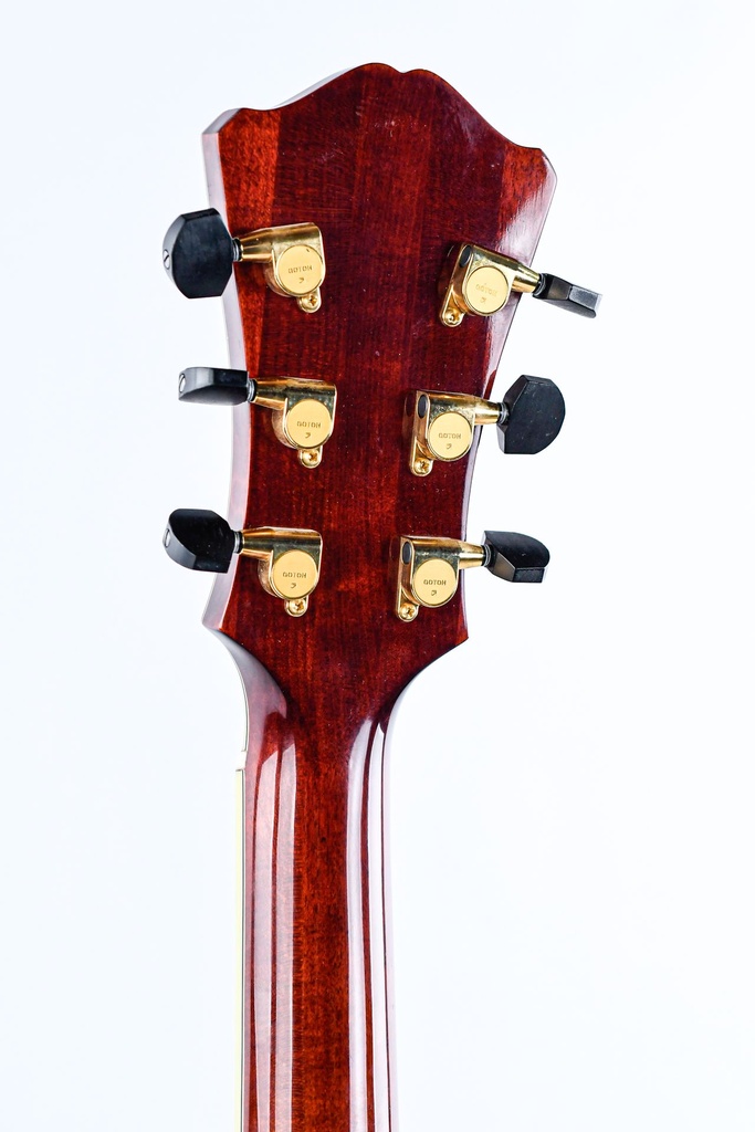 Eastman AR805CE 2020-5.jpg