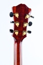 Eastman AR805CE 2020-5.jpg