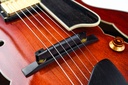 Eastman AR805CE 2020-11.jpg