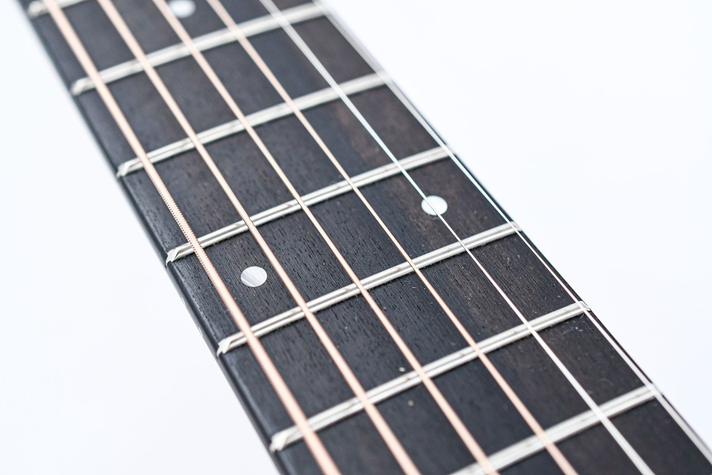 Taylor 214ce-13.jpg