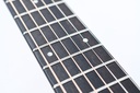 Taylor 214ce-13.jpg