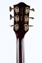 Gretsch G6122T-62 Vintage Select Edition '62 Chet Atkins Country Gentleman Walnut Stain-5.jpg