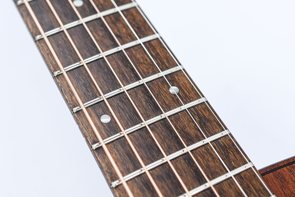 Taylor GTe Mahogany 2022-13.jpg