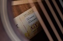 Taylor GTe Mahogany 2022-11.jpg