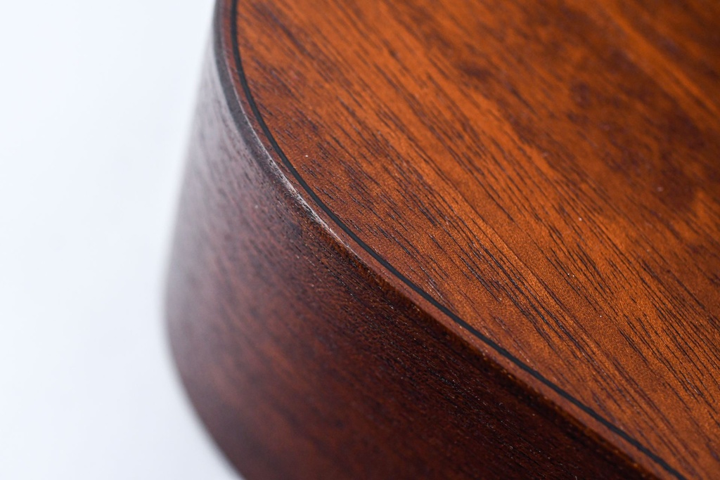 Taylor GTe Mahogany 2022-14.jpg