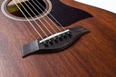Taylor GTe Mahogany 2022-10.jpg