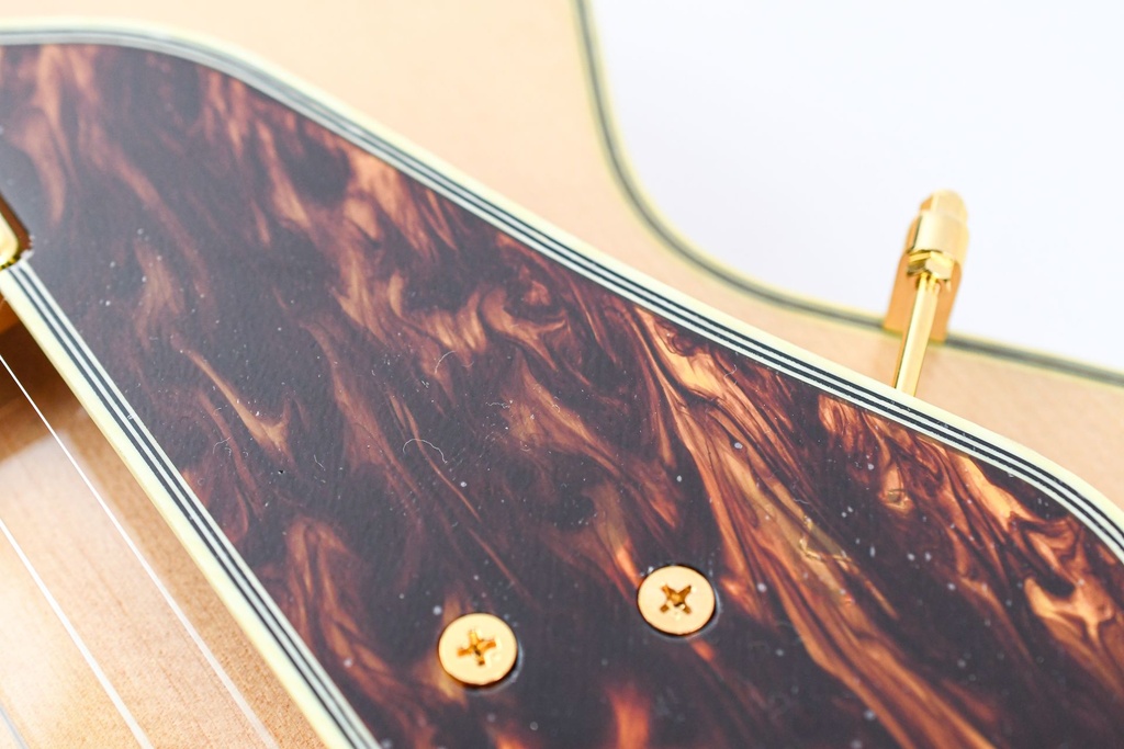 Ibanez GB10 George Benson Natural-13.jpg